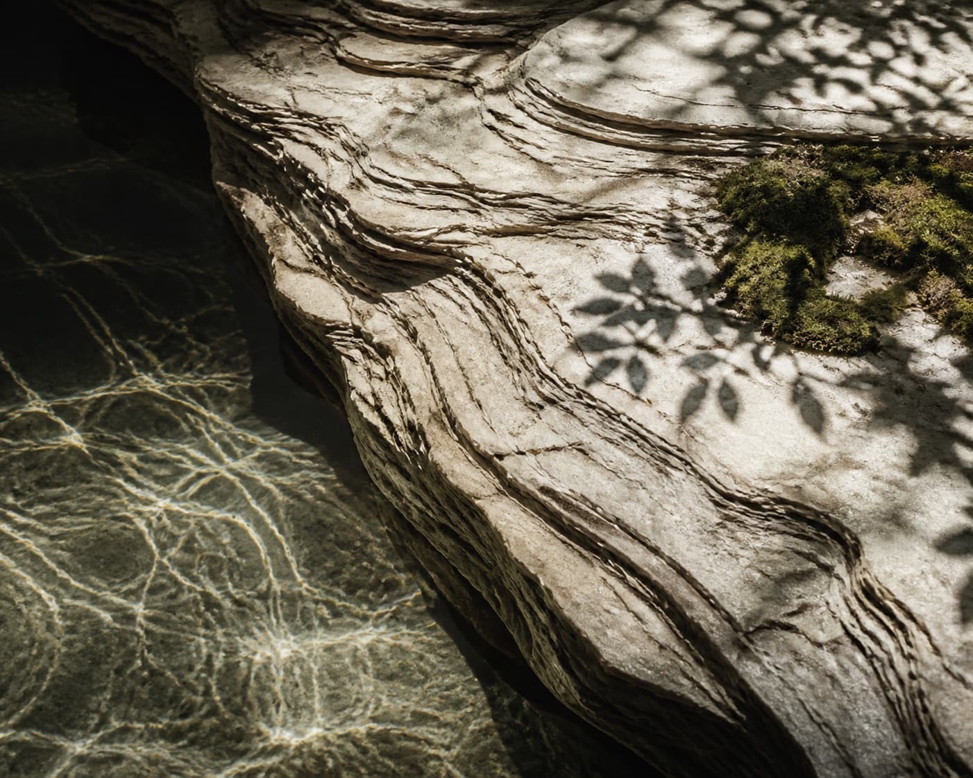 Abstracte natuurlijke texturen van steen, water en mos als visuele metafoor voor menselijk functioneren in context.